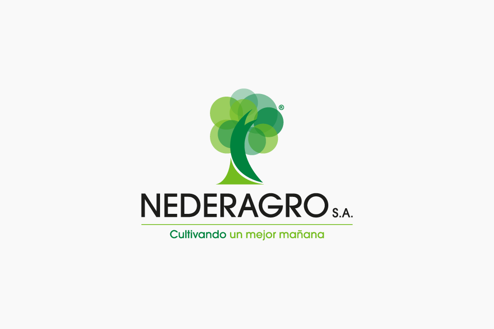 Isologotipo Nederagro anterior