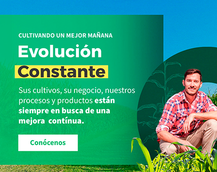 Pieza Evolución Constante de Nederagro