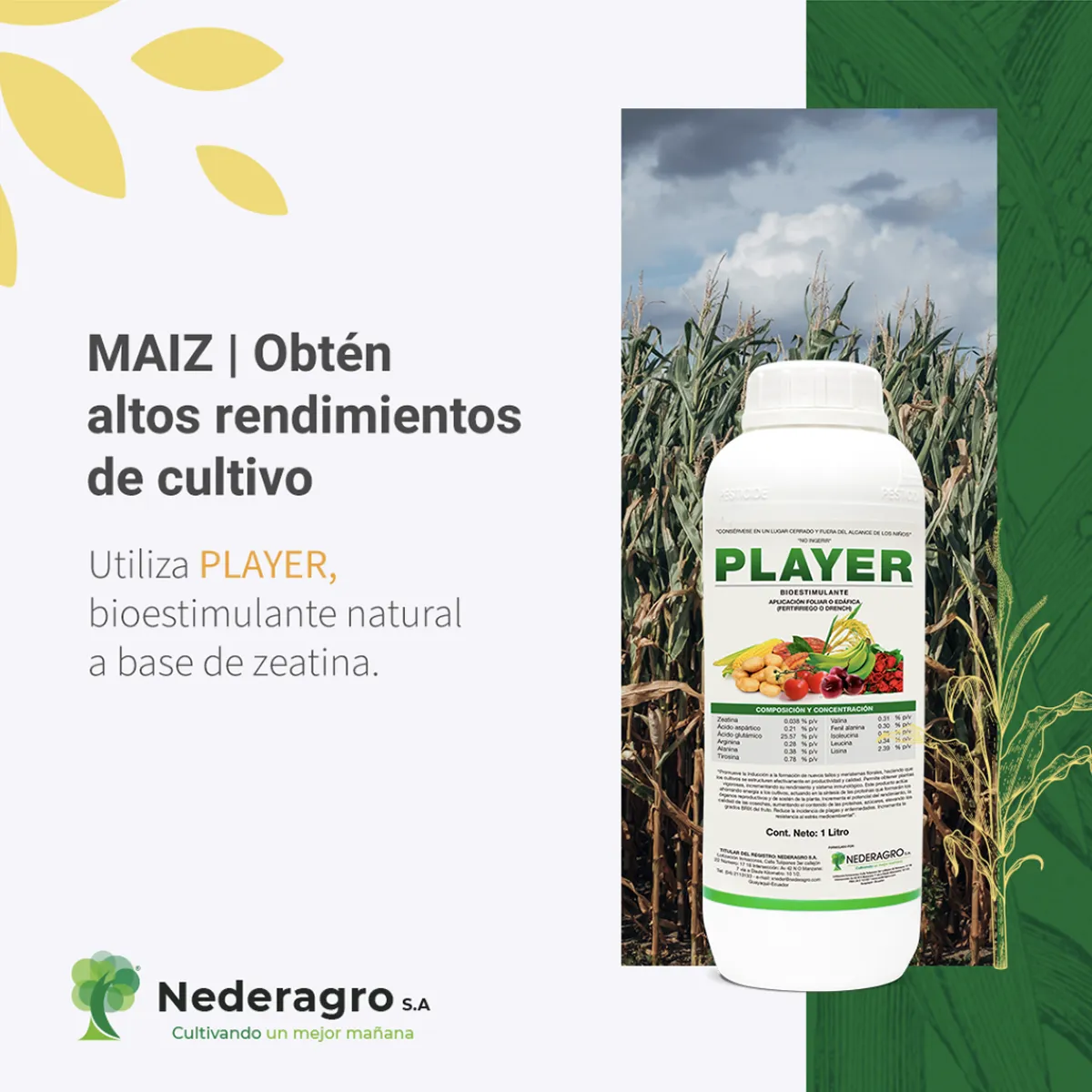 Posteo maíz después